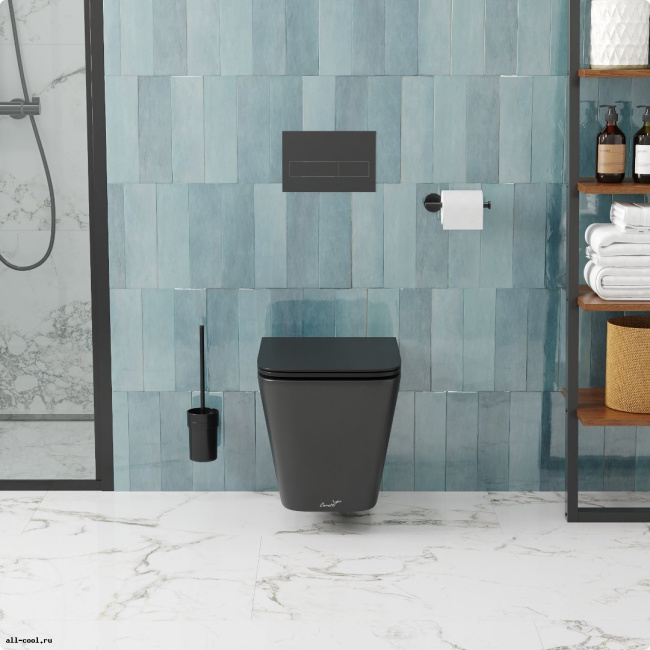 Ceruttispa MAIELLA Aria MB CT9163