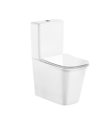 Ceruttispa Arno CT7838