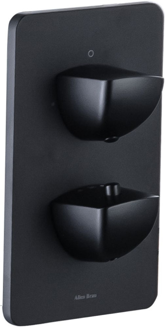 Allen Brau Infinity 5.21316-31 (с внутренней частью) черный матовый