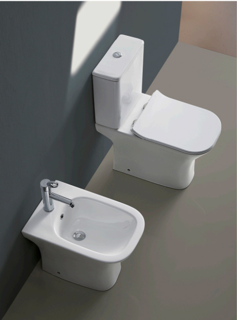 Ceruttispa Vettore CT7192