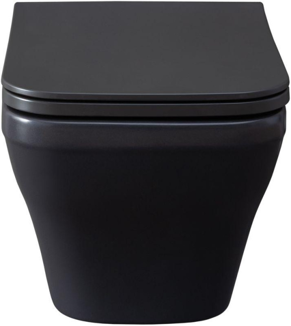 Allen Brau Infinity 4.21011.AN антрацит
